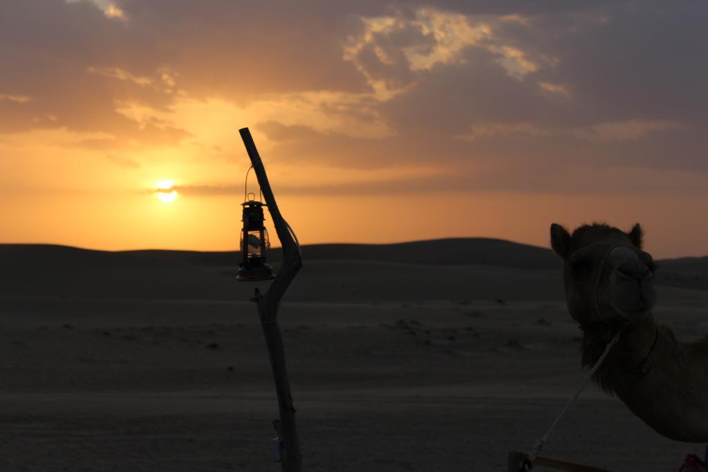 Legend Desert Camp Fulayj al Masha'ikh Eksteriør billede