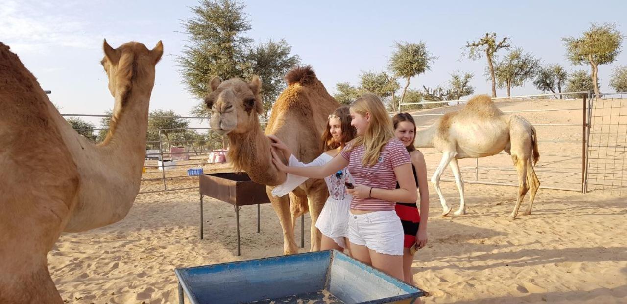 Legend Desert Camp Fulayj al Masha'ikh Eksteriør billede